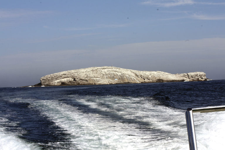 Laje-de-santos-boatshopping