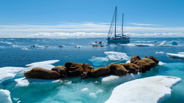 Aleixo Belov e tripulação enfrentam o mar gélido do Oceano Ártico